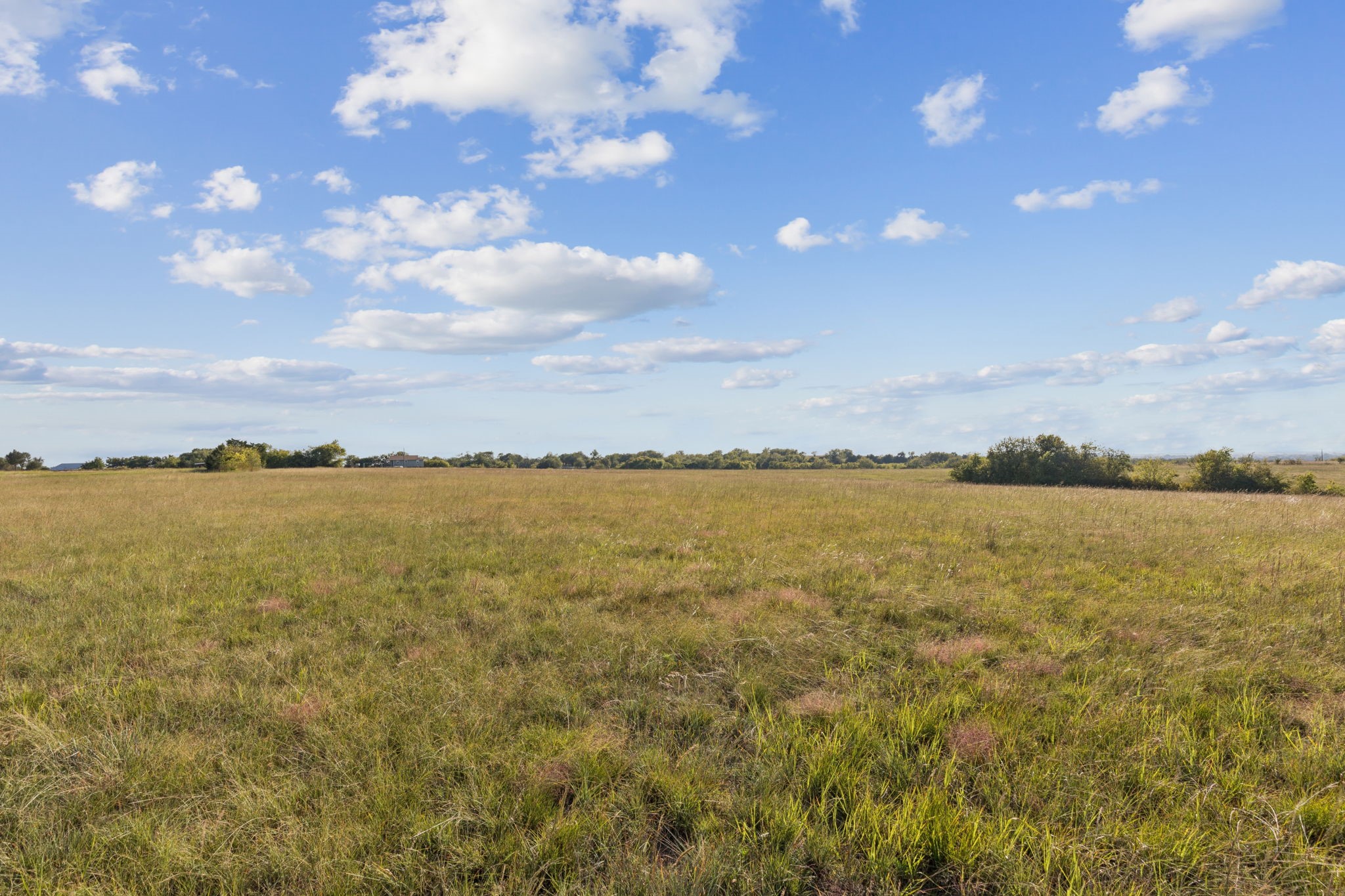 1258 County Road 352 Road Gainesville TX 76240