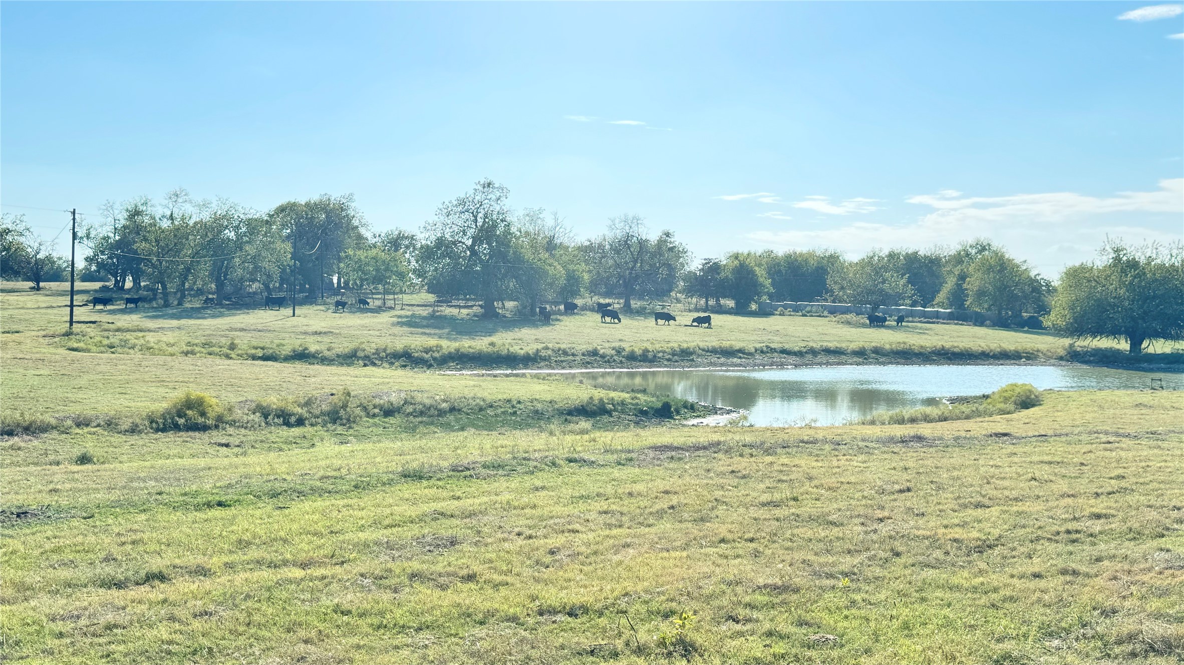 1258 County Road 352 Road Gainesville TX 76240