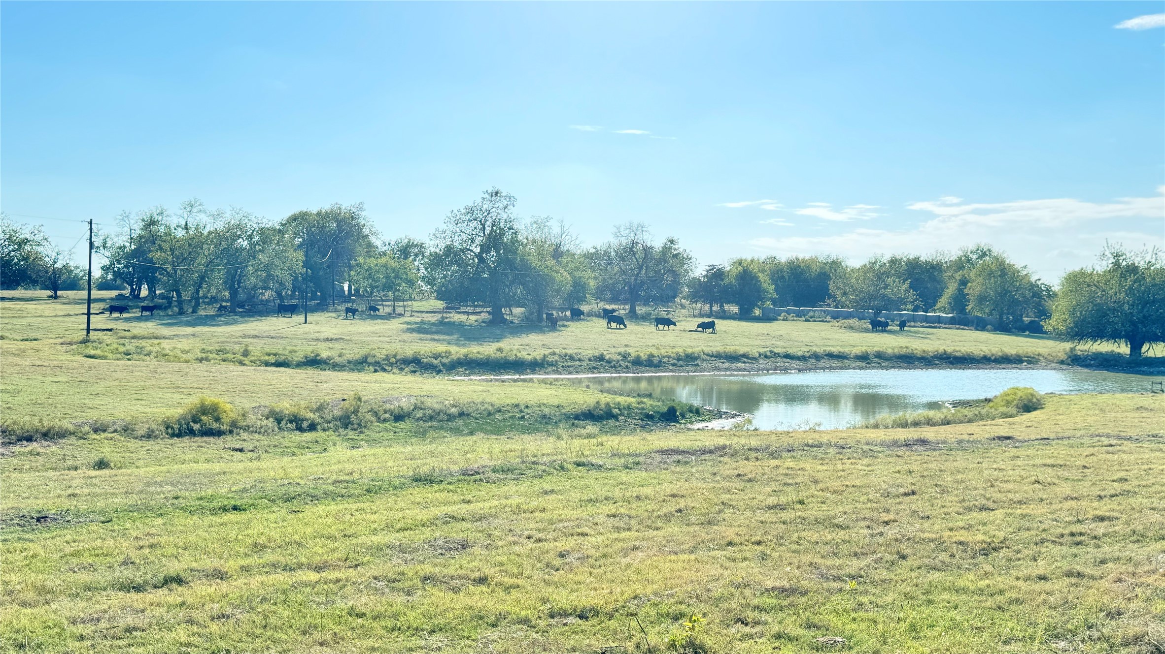 1258 County Road 352 Road Gainesville TX 76240