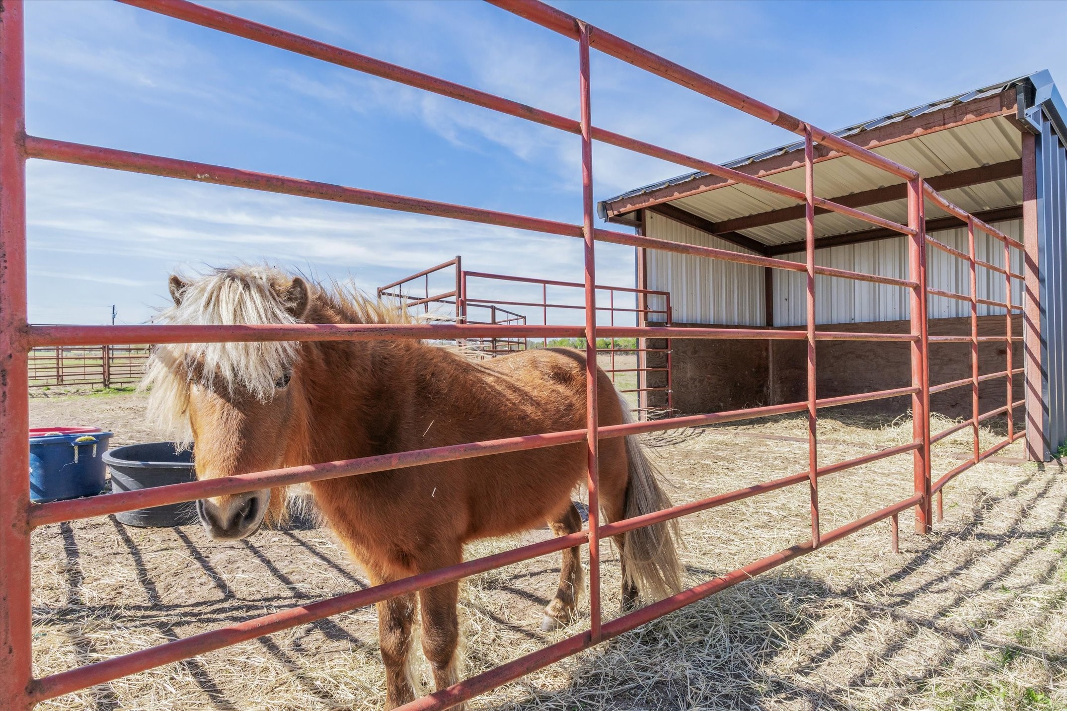 1744 Vz County Road 2303 Canton TX 75103