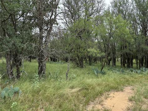 10705 County Road 454 Brownwood TX 76801
