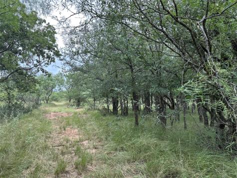 10705 County Road 454 Brownwood TX 76801