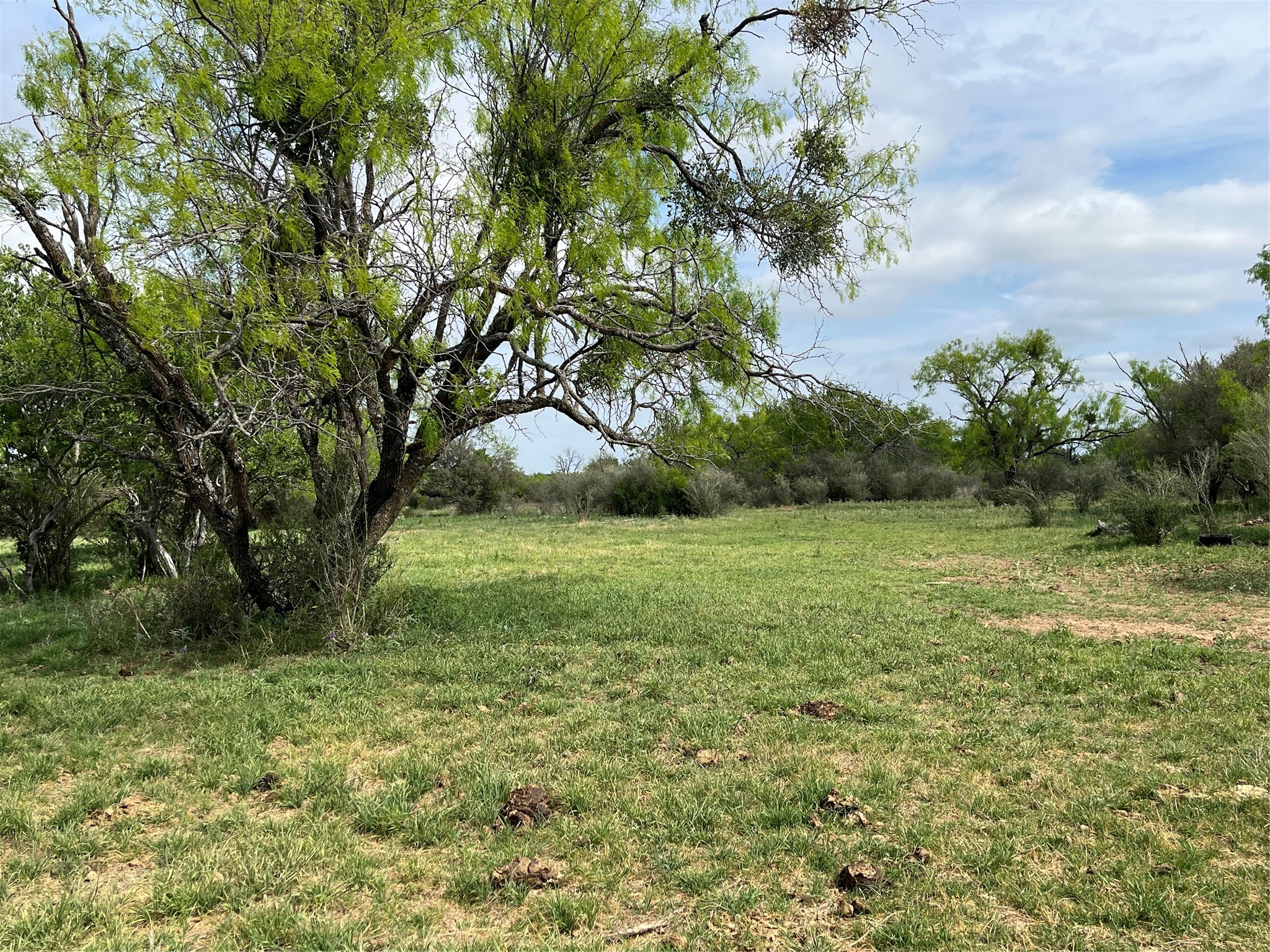 2190 W Fm 574 Road W Mullin TX 76864