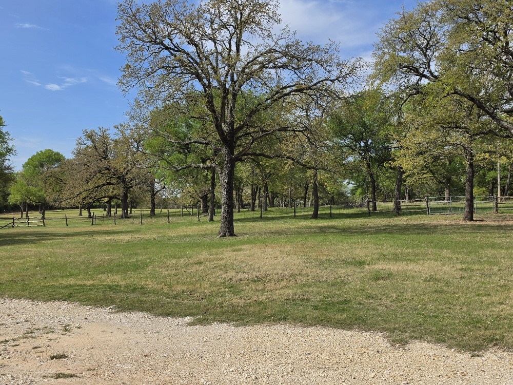 149 Bluebird Drive Whitney TX 76692