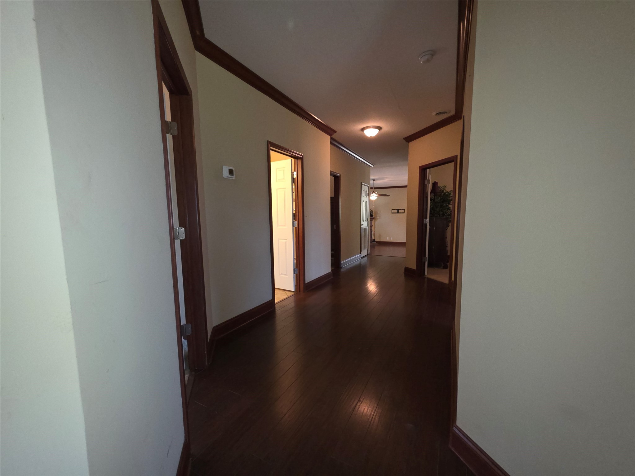 19989 Post Oak Loop Thornton TX 76687