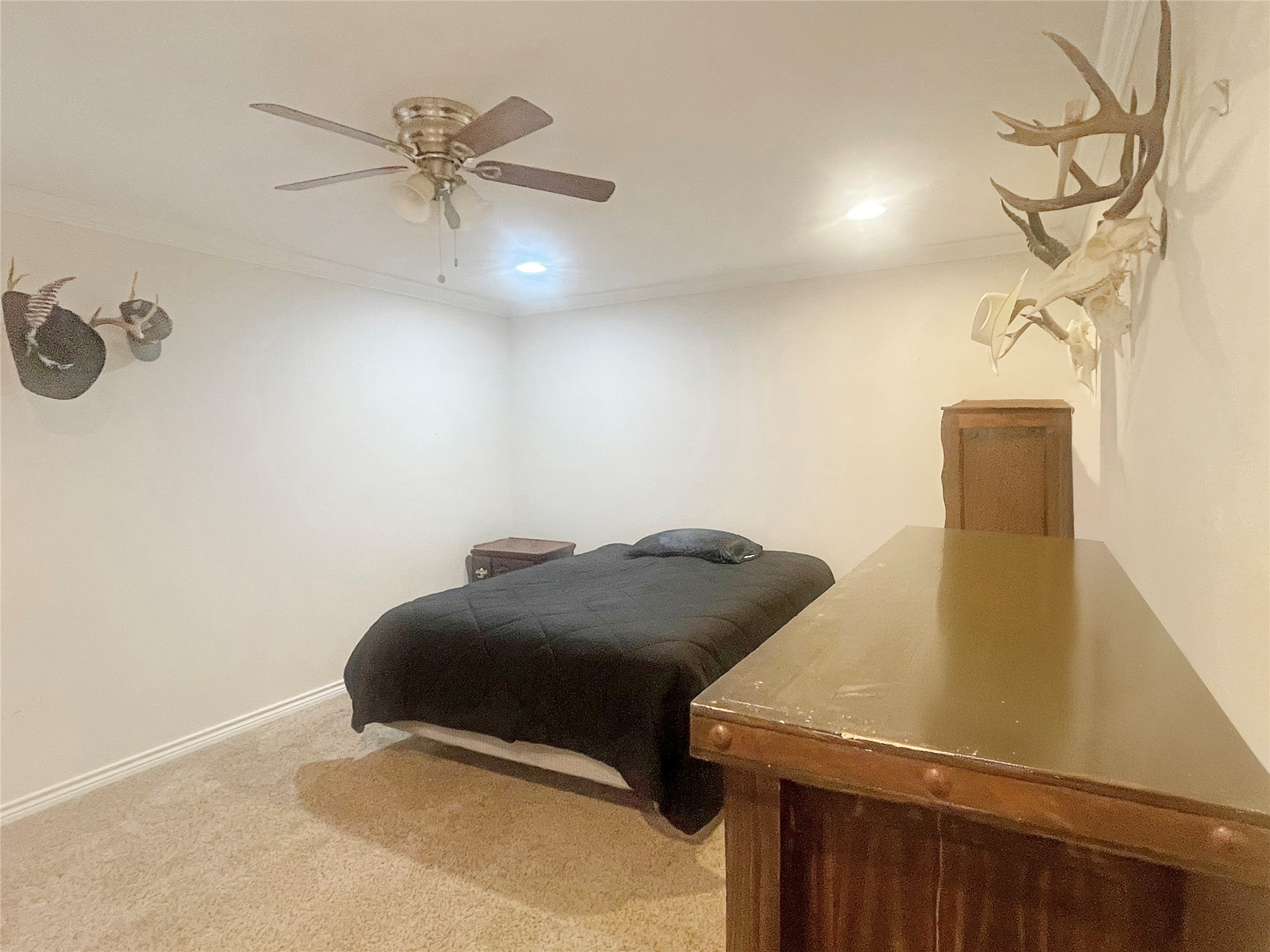 584 State Highway 16 N Graham TX 76450
