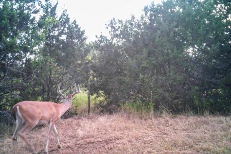 2998 Straws Mill Road Gatesville TX 76528
