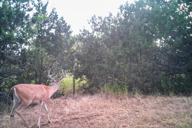 2998 Straws Mill Road Gatesville TX 76528