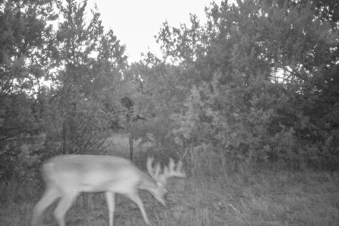 2998 Straws Mill Road Gatesville TX 76528