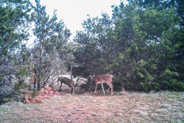 2998 Straws Mill Road Gatesville TX 76528