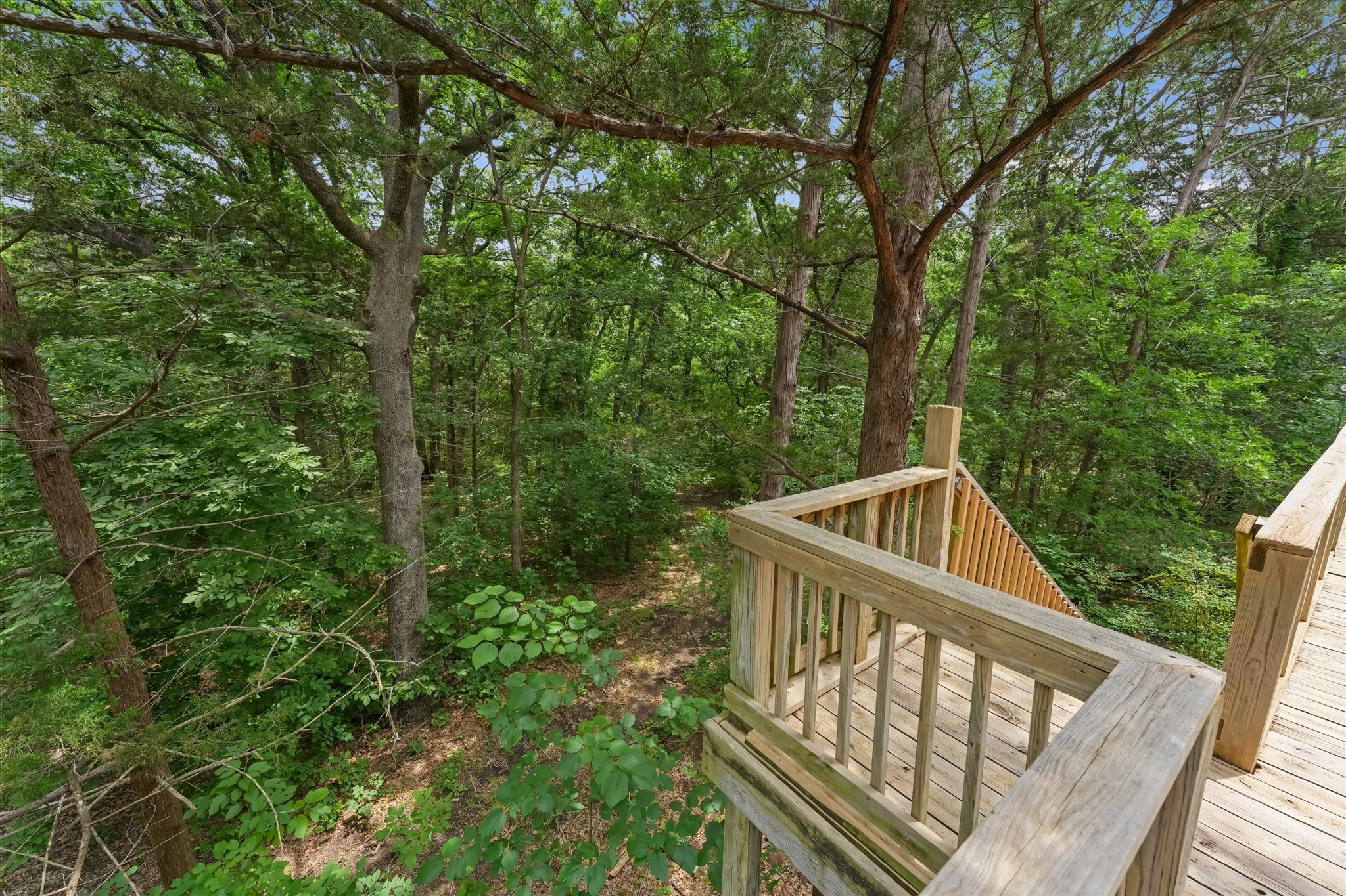 202 Fox Hollow Pottsboro TX 75076