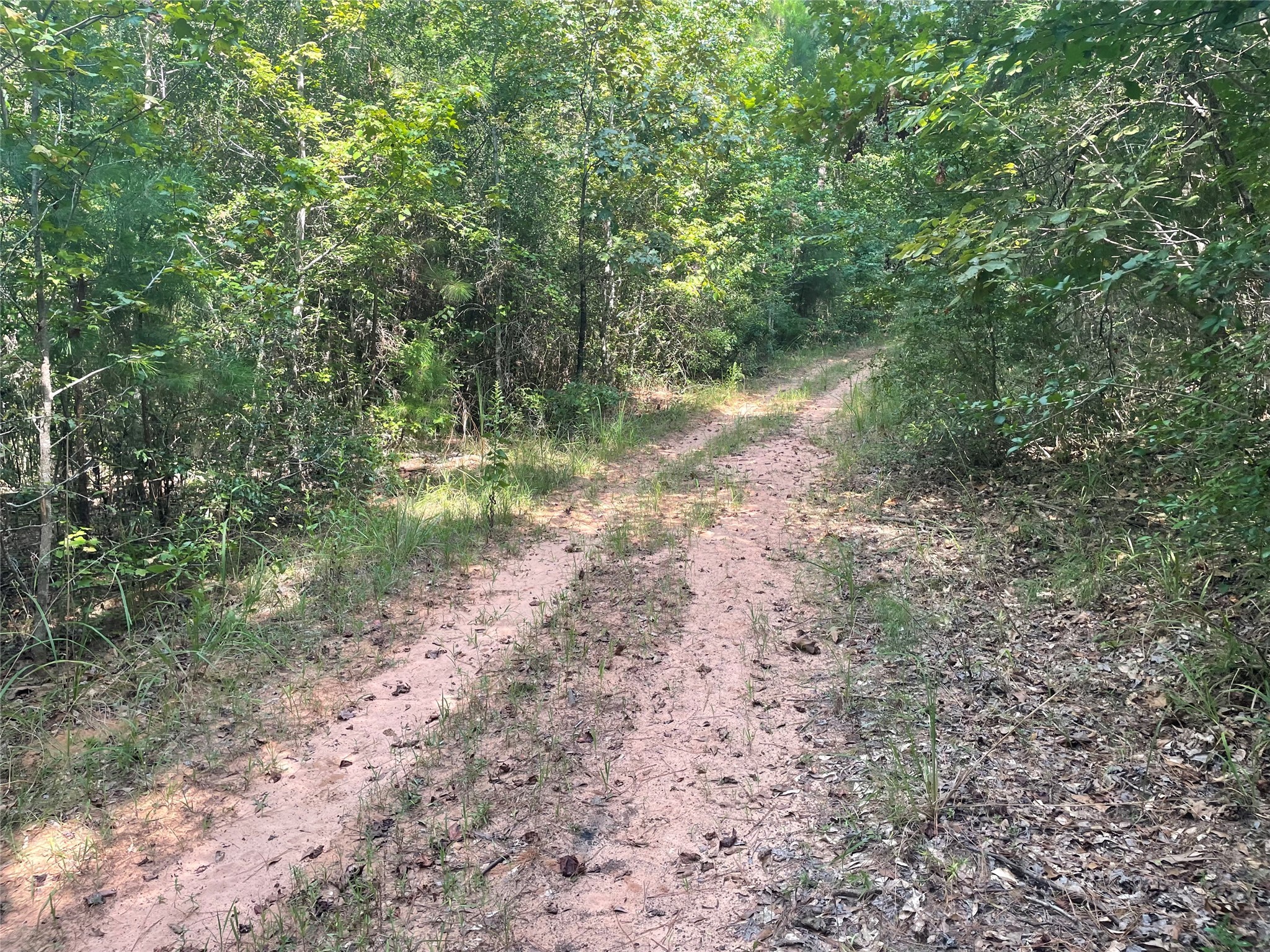 649 An County Road 1215 Grapeland TX 75844