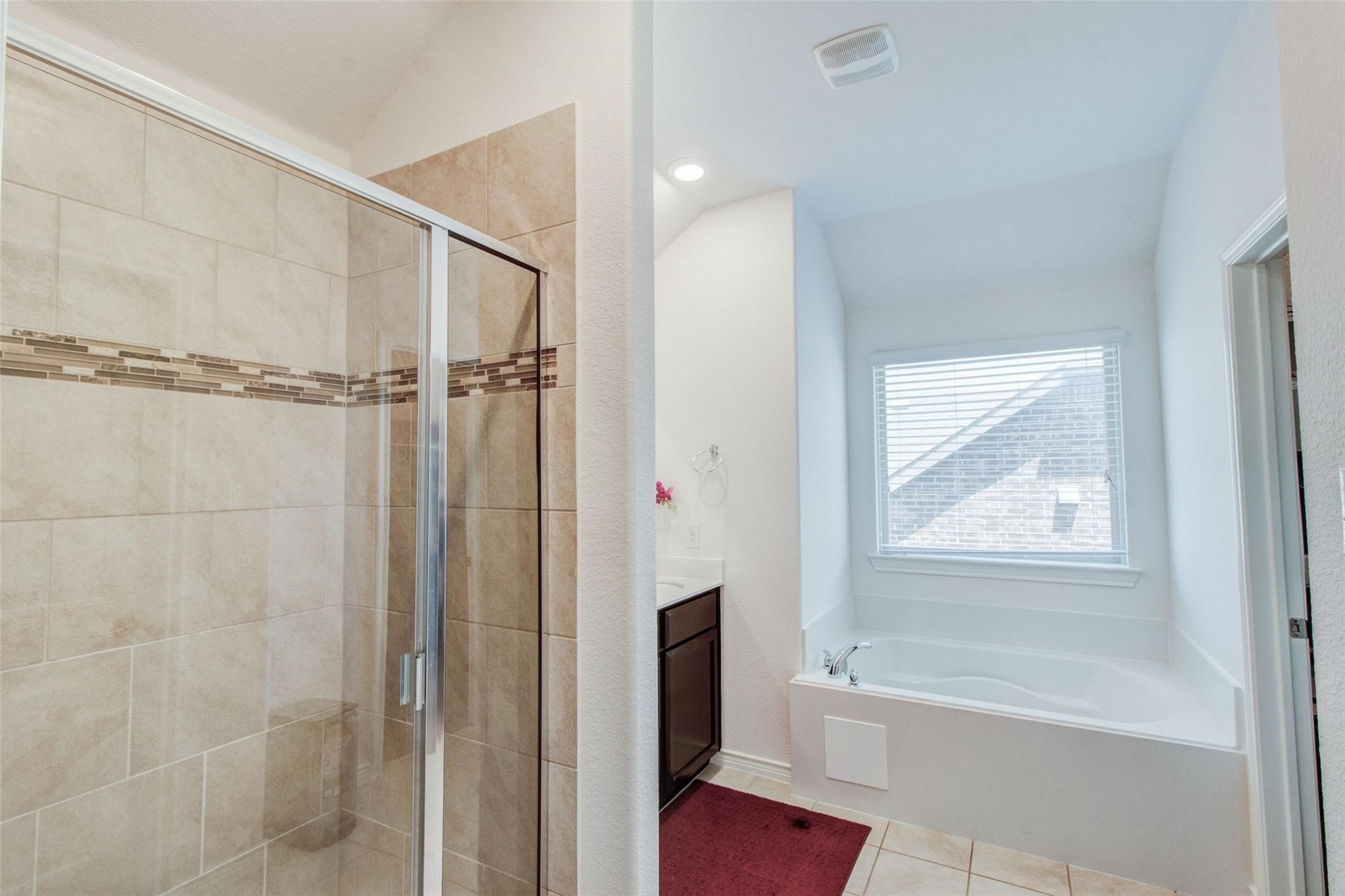 10308 Big Sandy Court Mckinney TX 75071
