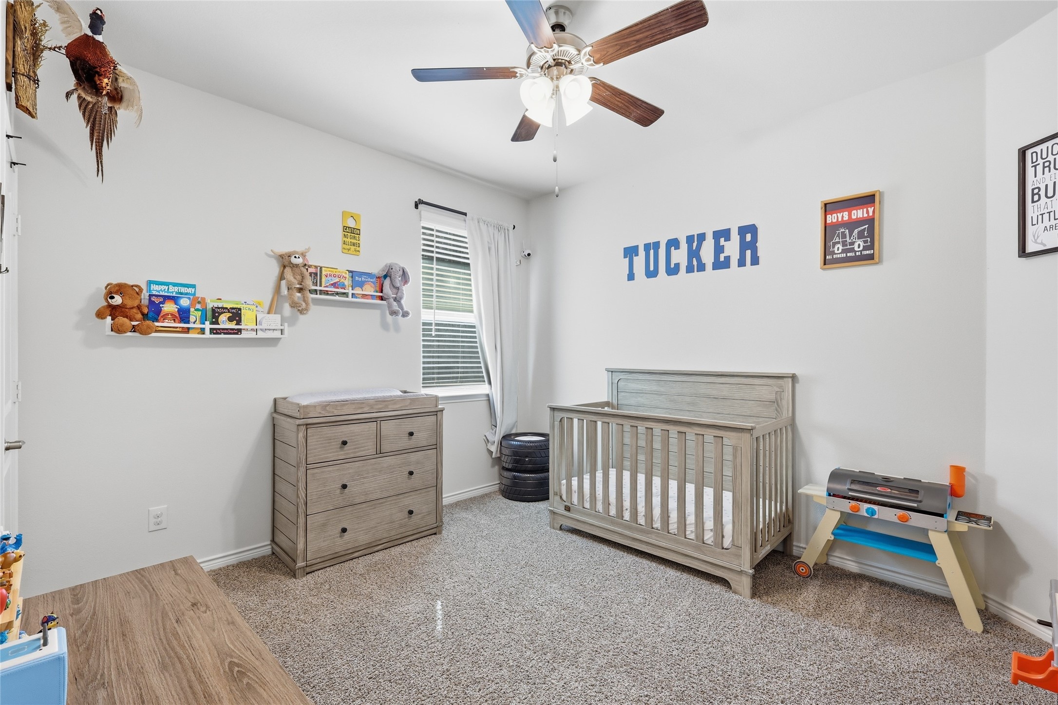 3223 Hunters Glen Drive Aubrey TX 76227