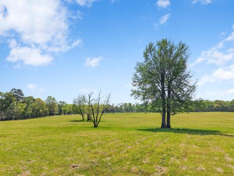520 SE Cr 4385 Scroggins TX 75480