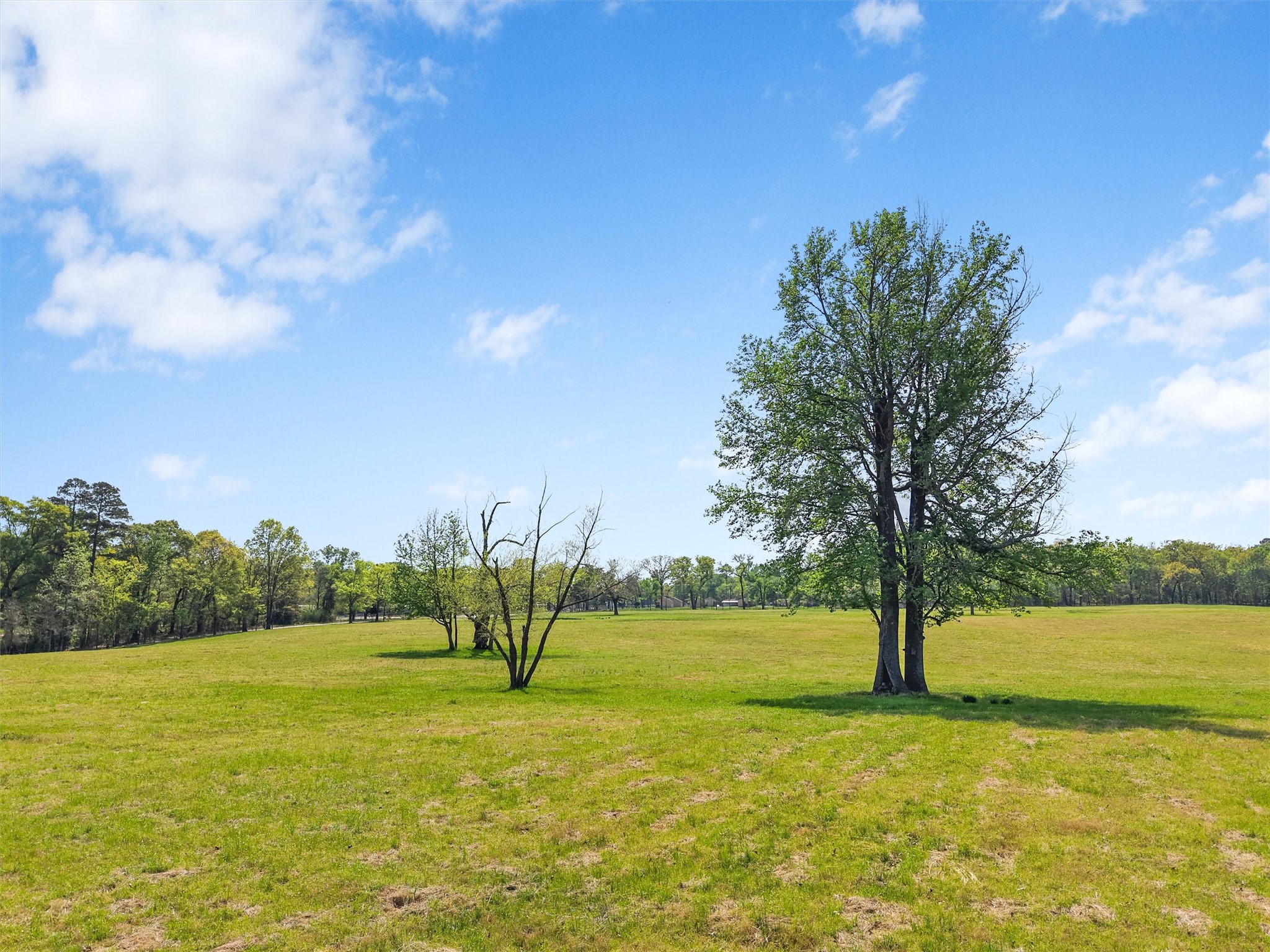 520 SE Cr 4385 Scroggins TX 75480