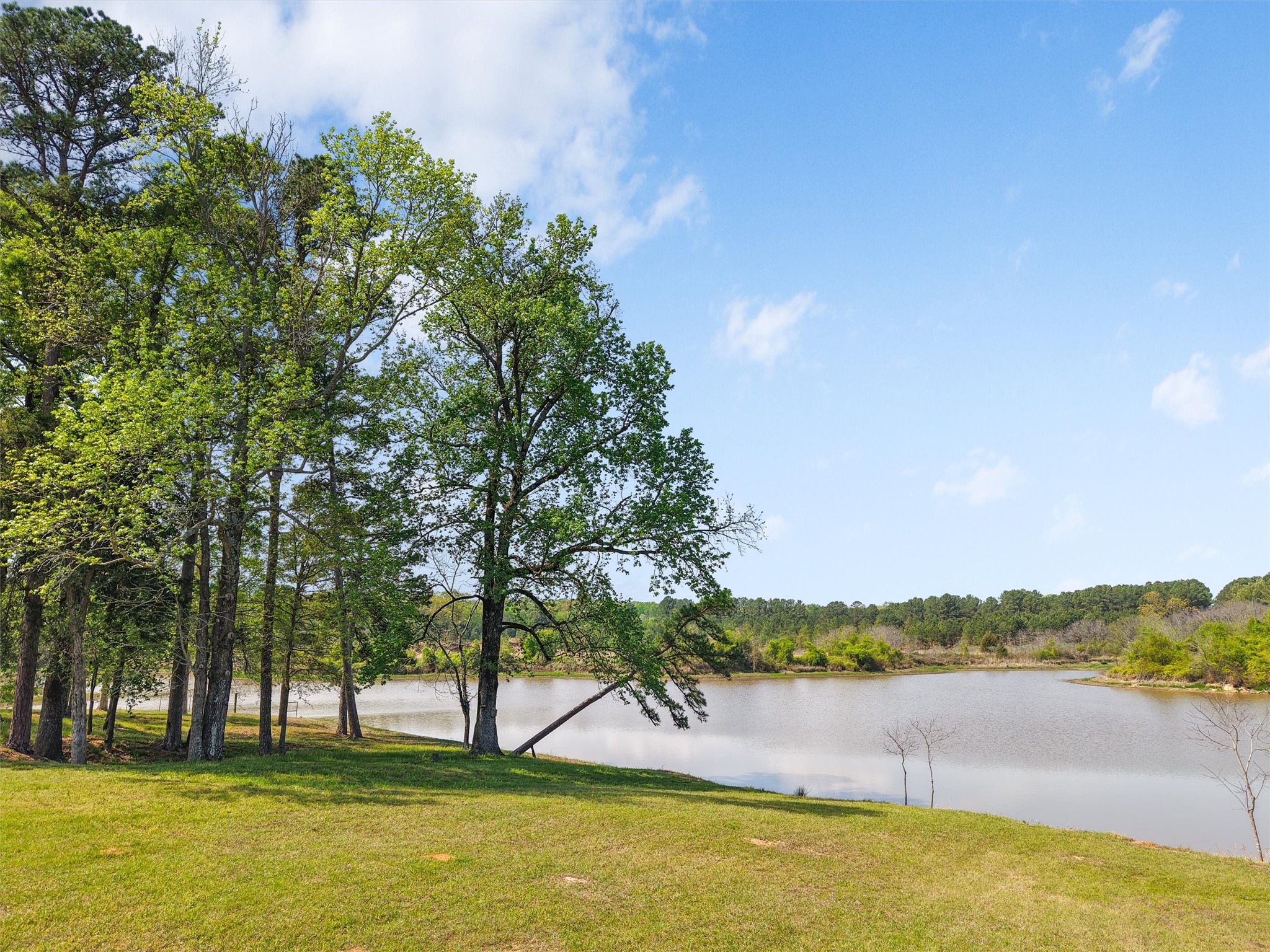 520 SE Cr 4385 Scroggins TX 75480