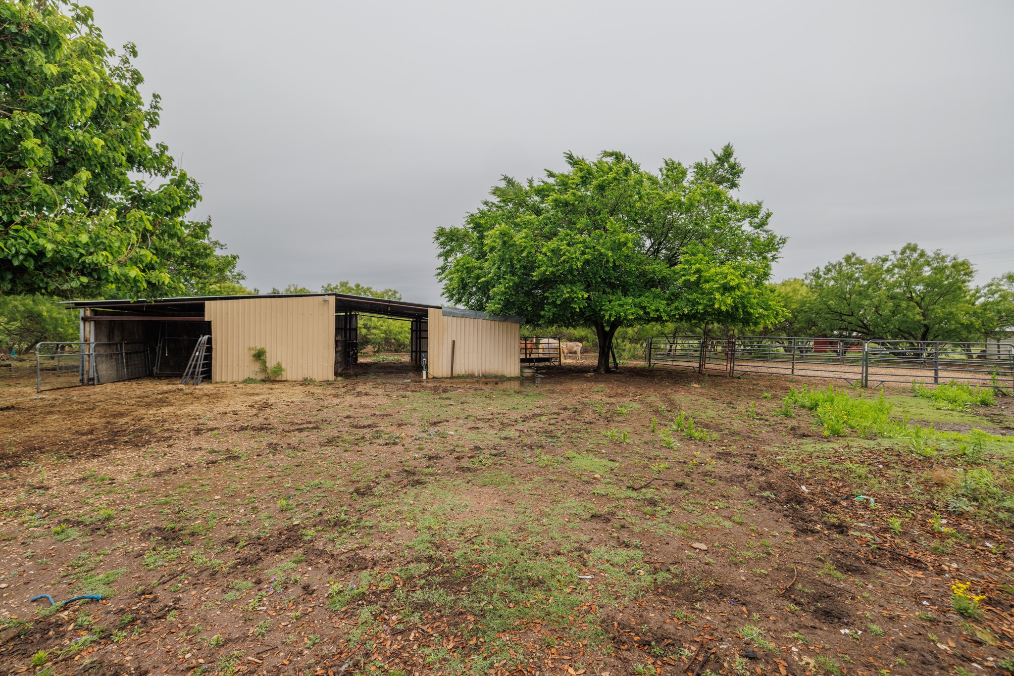 636 Clark Road Abilene TX 79602