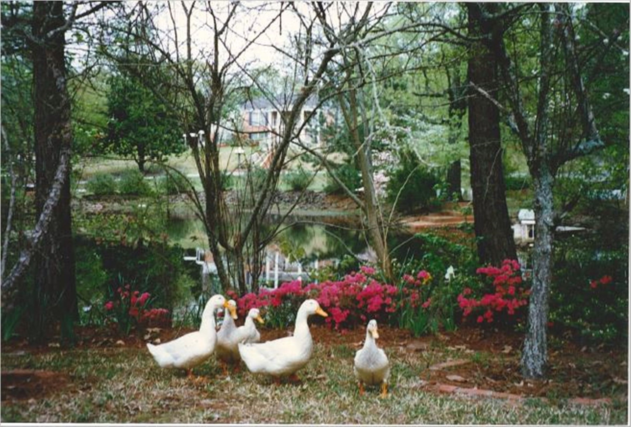 2900 S Robertson Avenue Tyler TX 75701