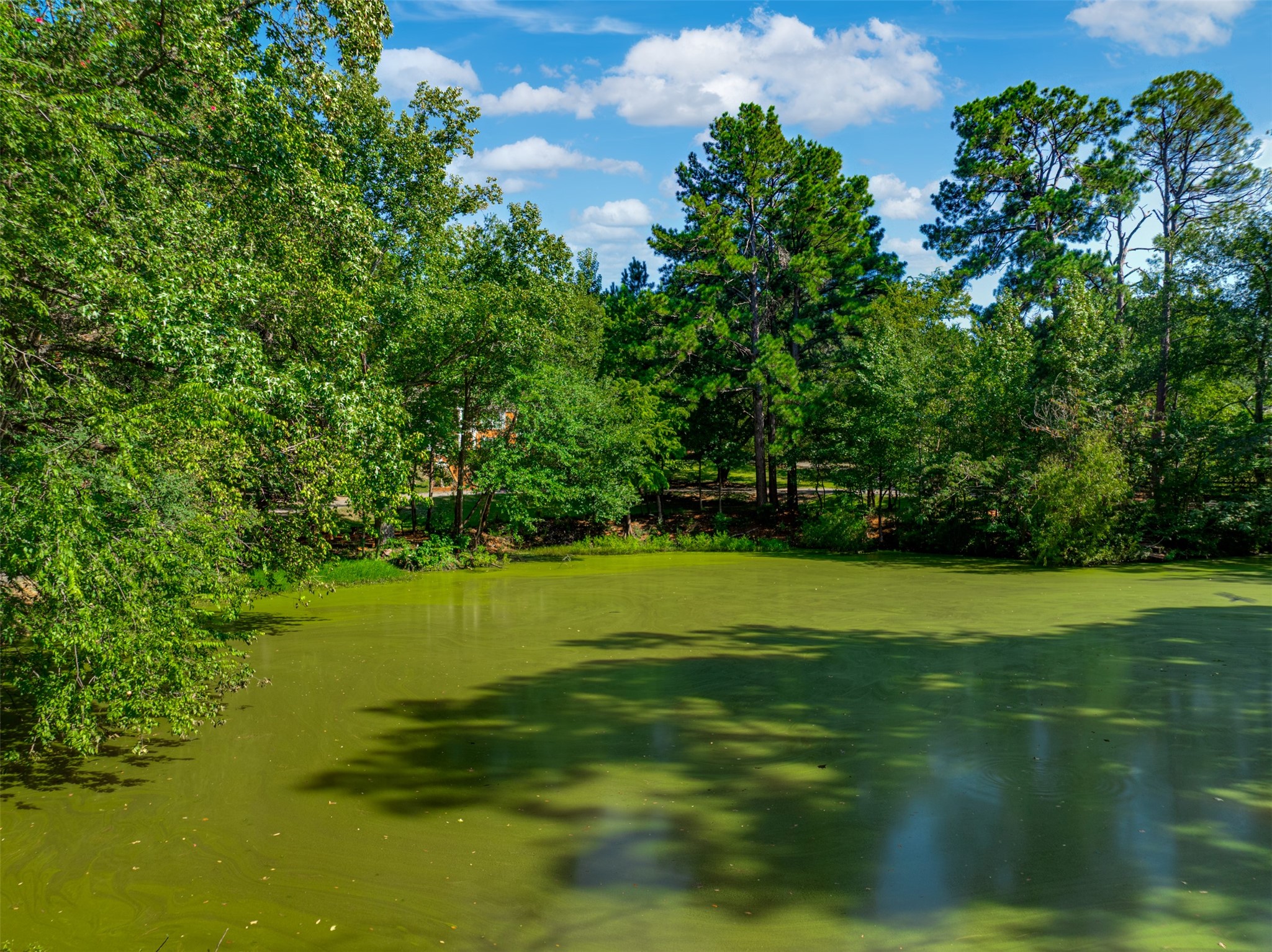 2900 S Robertson Avenue Tyler TX 75701