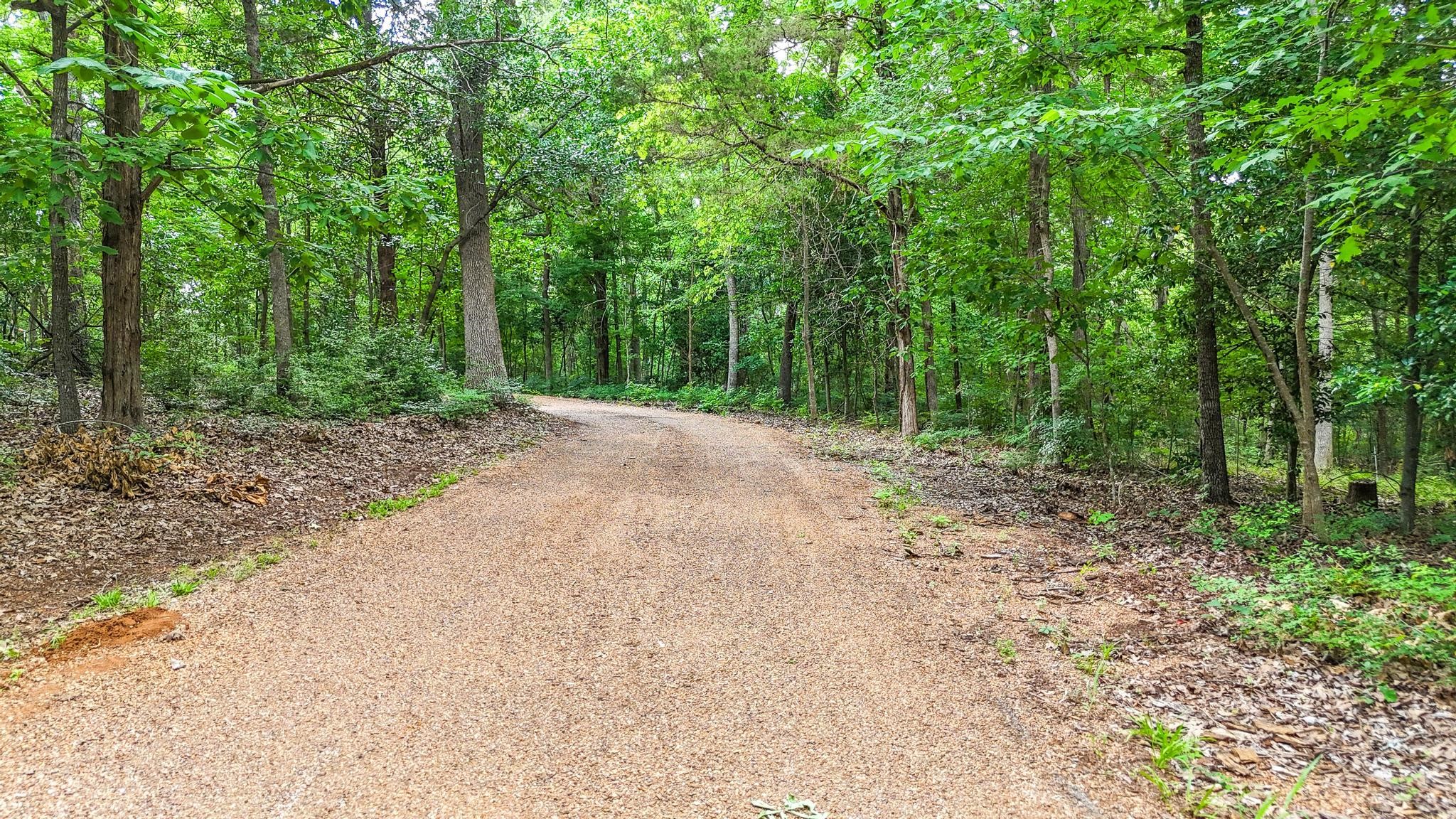 1749 E Us Highway 84 Palestine TX 75801