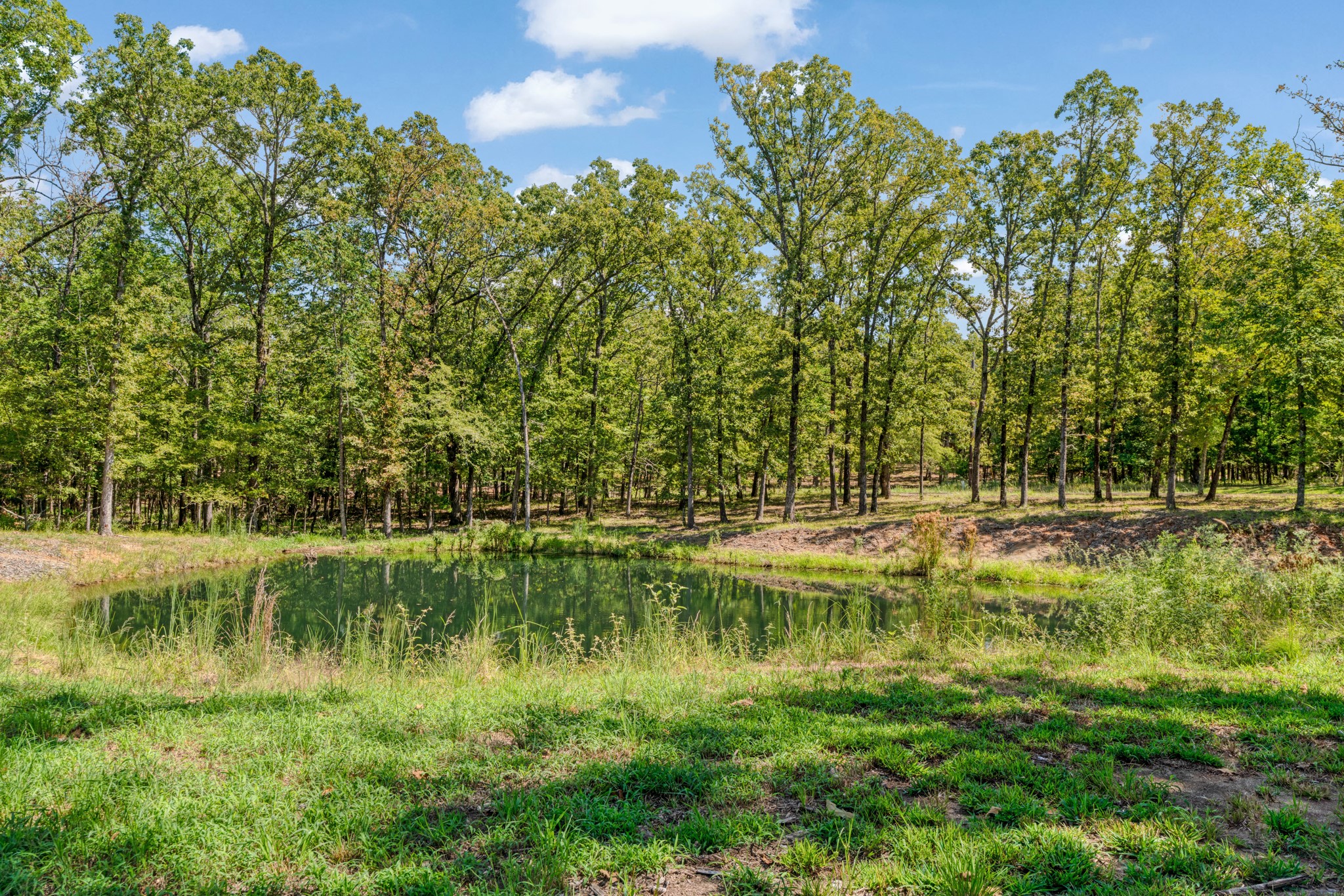 545 County Road 42540 Paris TX 75462
