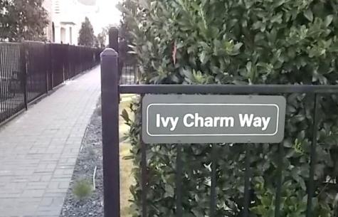 4913 Ivy Charm Way Fort Worth TX 76114