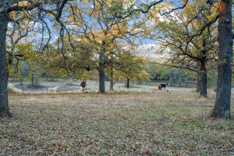 12664 Highway 199 W Poolville TX 76487