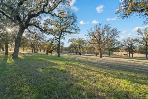 12664 Highway 199 W Poolville TX 76487