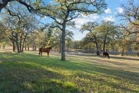 12664 Highway 199 W Poolville TX 76487