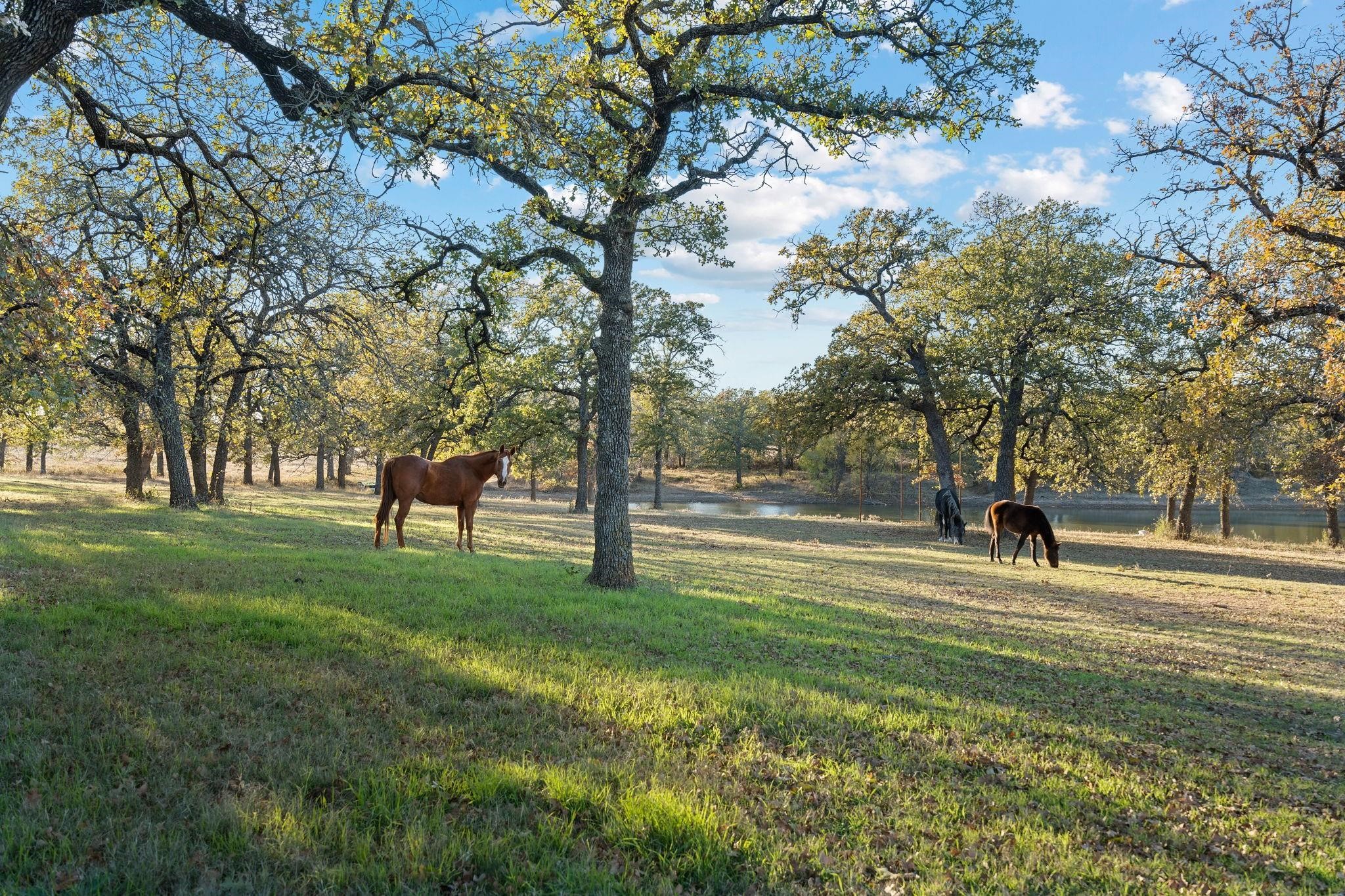 12664 Highway 199 W Poolville TX 76487