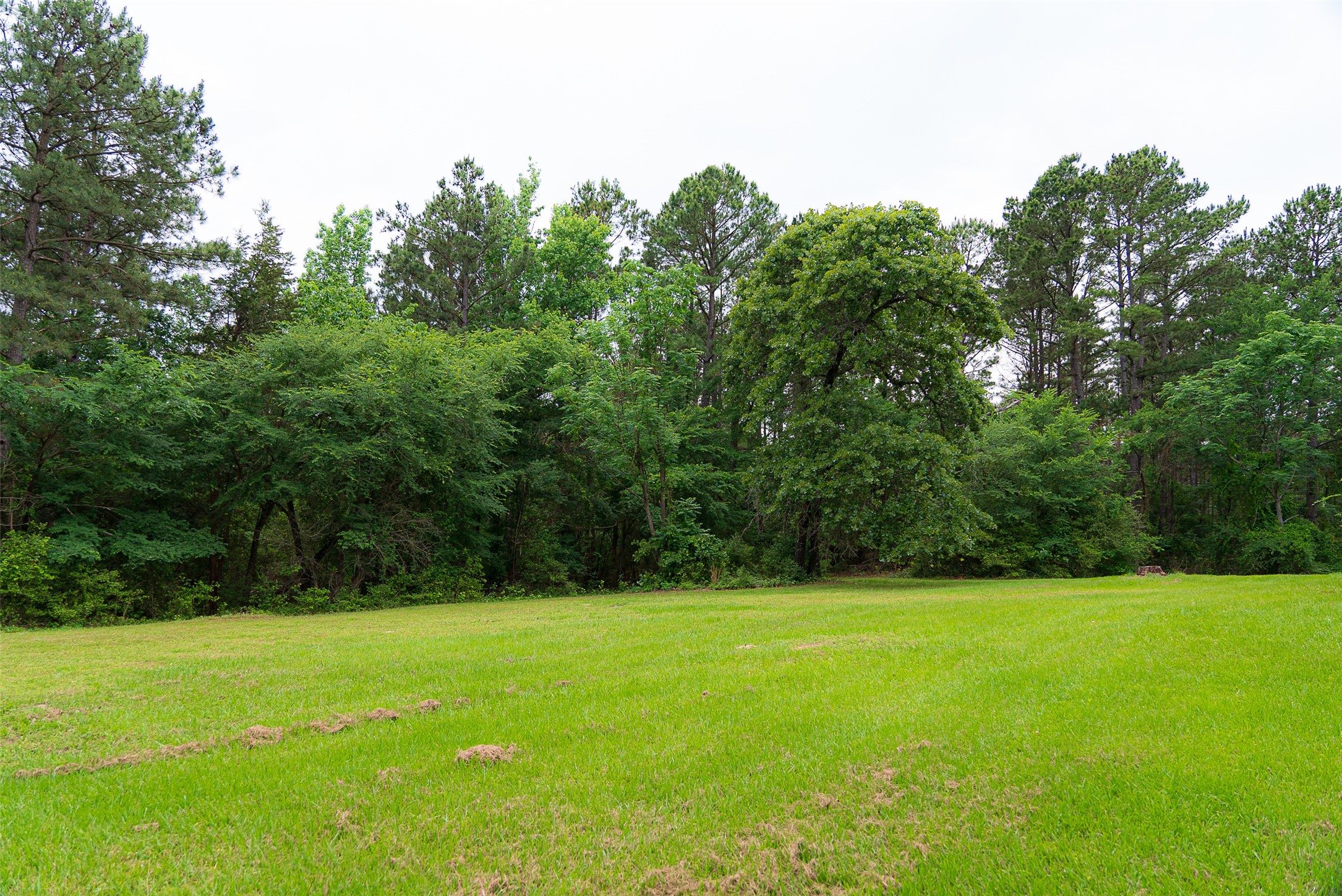 302 An County Road 3914 Palestine TX 75801