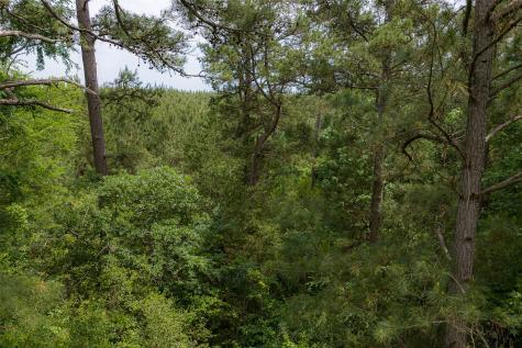 302 An County Road 3914 Palestine TX 75801