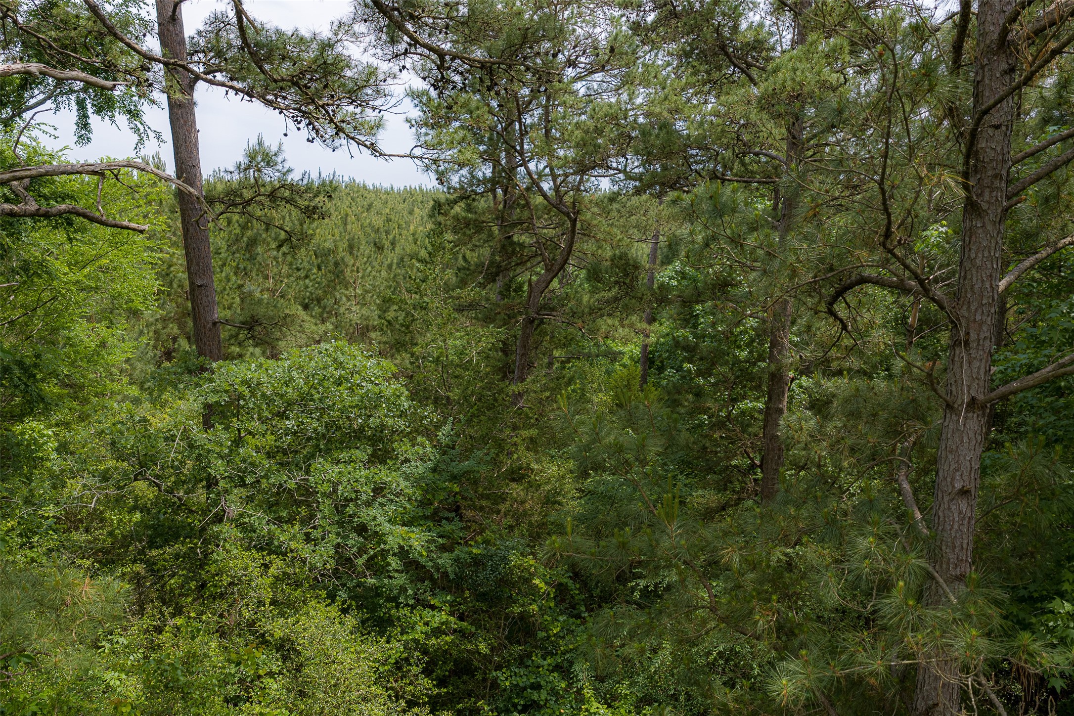 302 An County Road 3914 Palestine TX 75801
