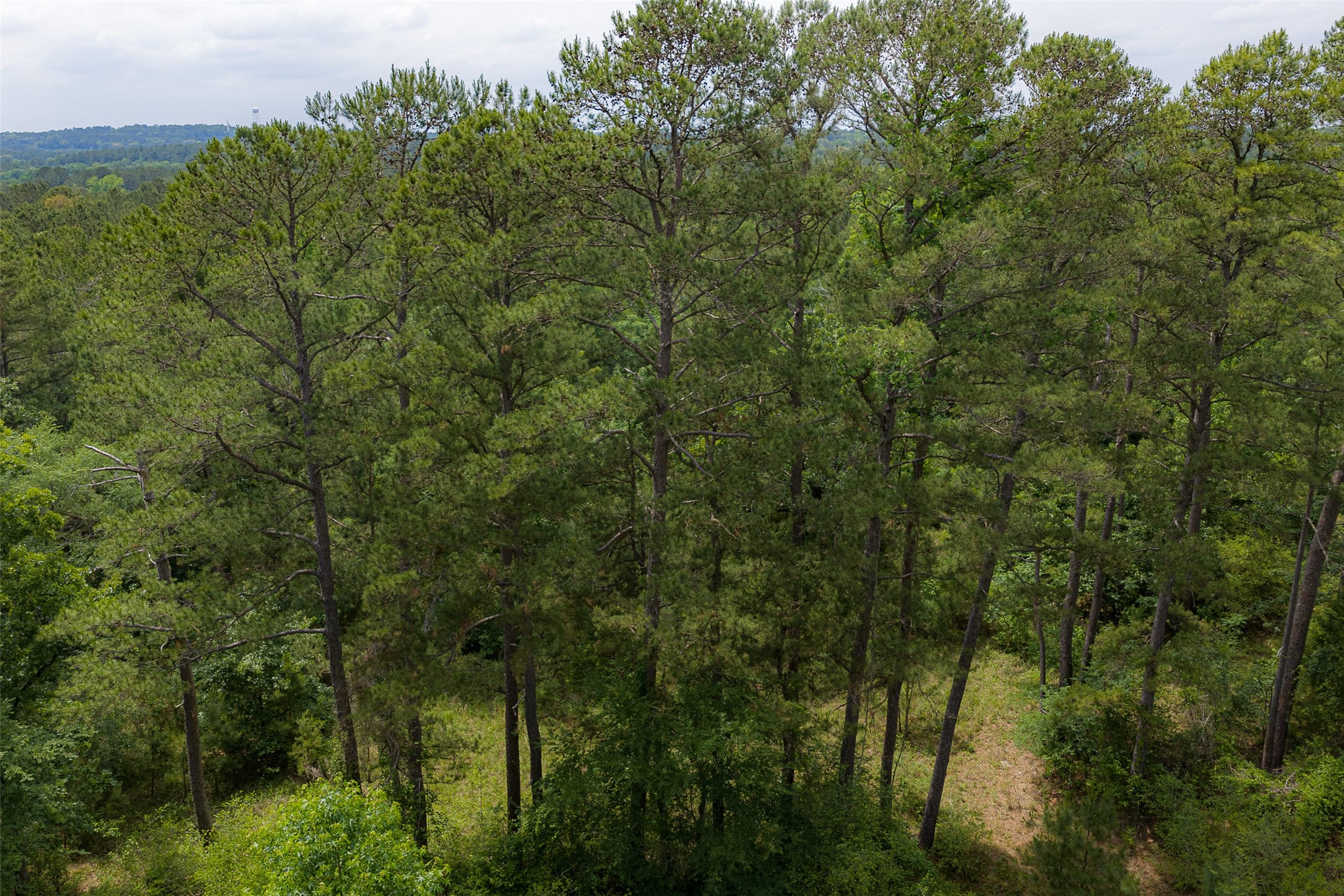 302 An County Road 3914 Palestine TX 75801