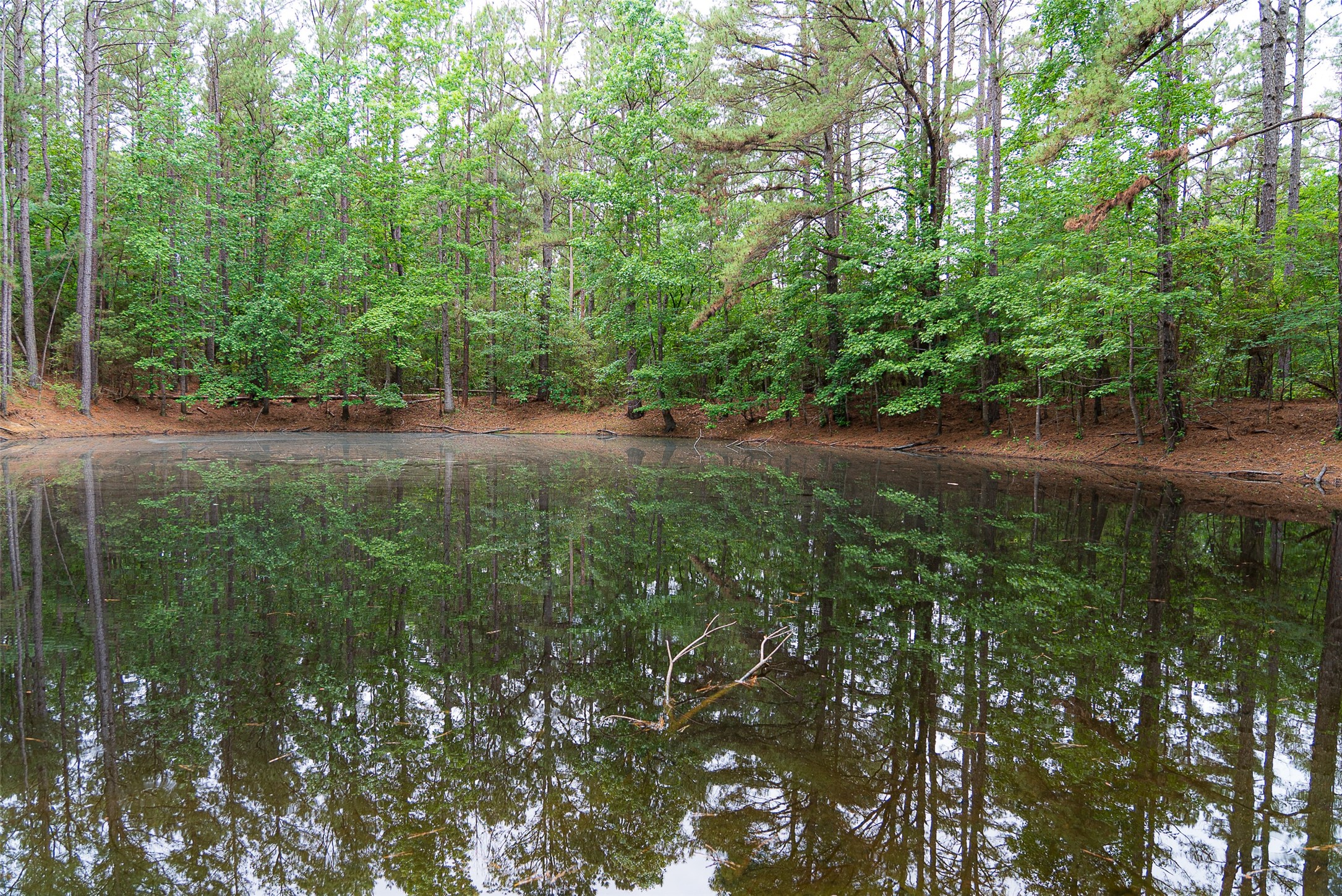 302 An County Road 3914 Palestine TX 75801