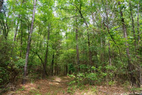 302 An County Road 3914 Palestine TX 75801