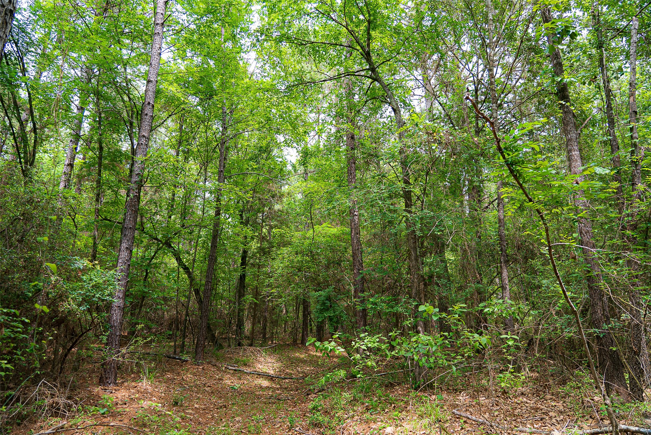 302 An County Road 3914 Palestine TX 75801