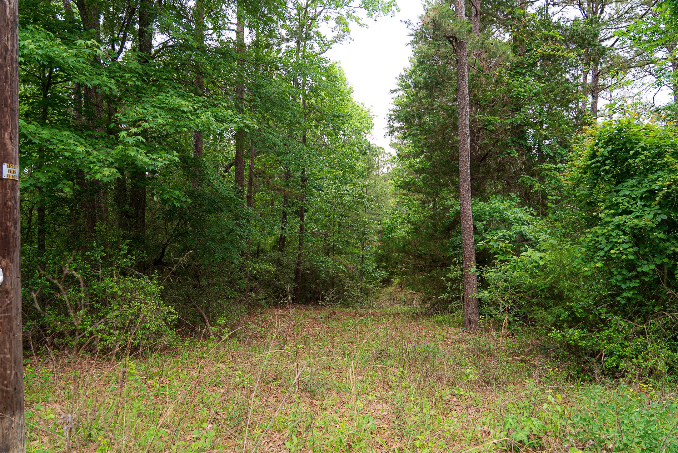 302 An County Road 3914 Palestine TX 75801
