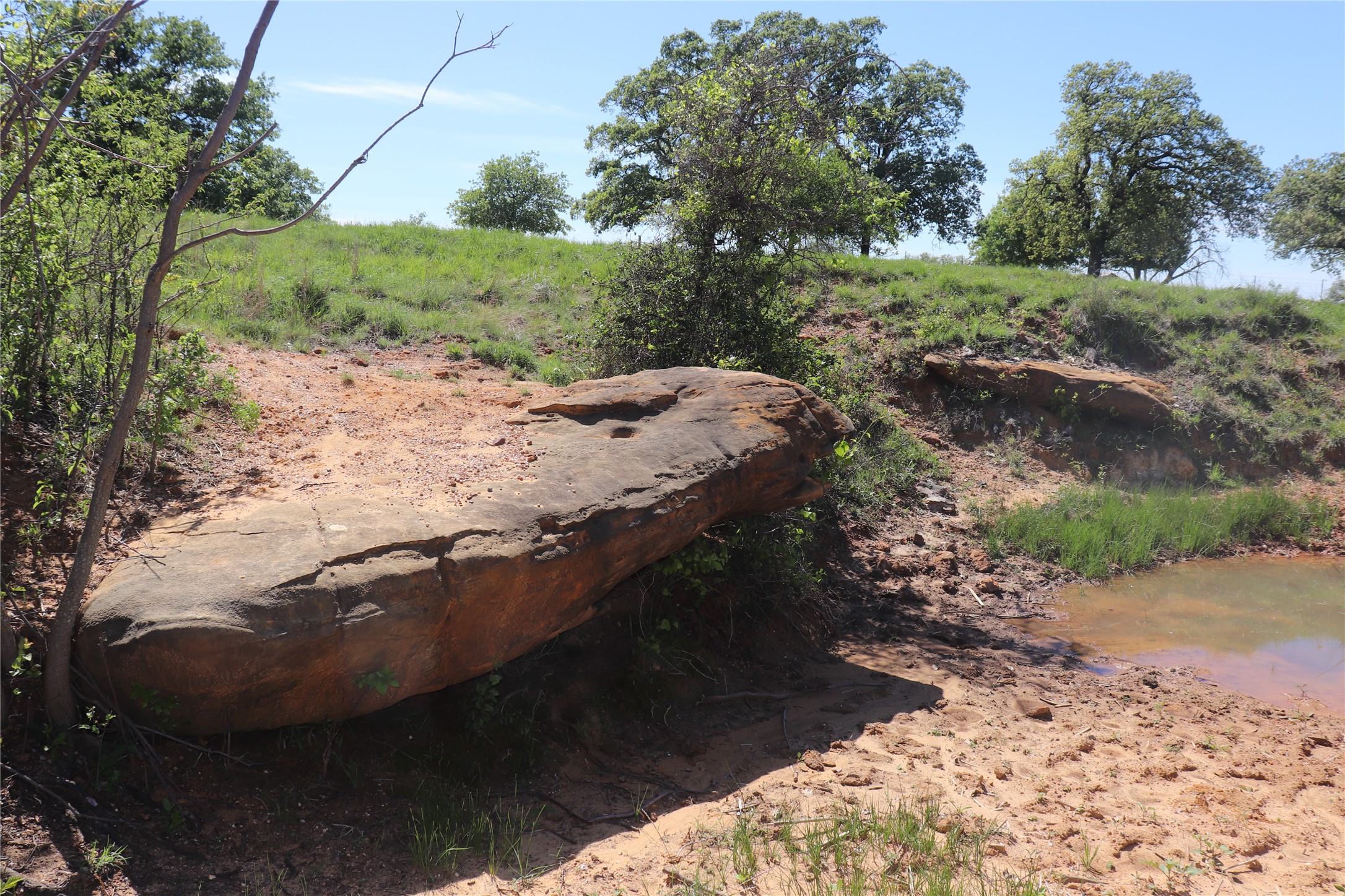 798 County Road 189 Carbon TX 76435