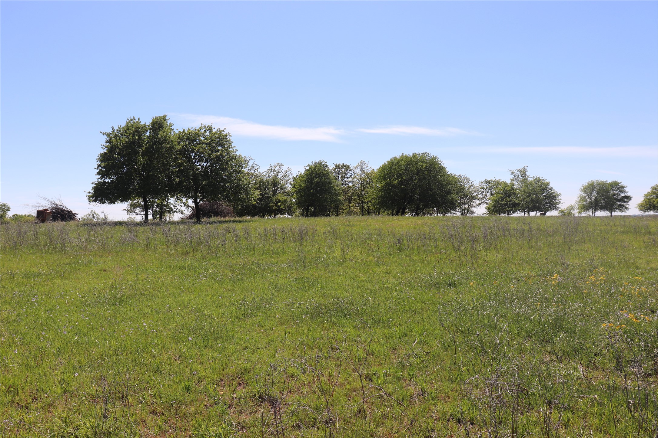 798 County Road 189 Carbon TX 76435