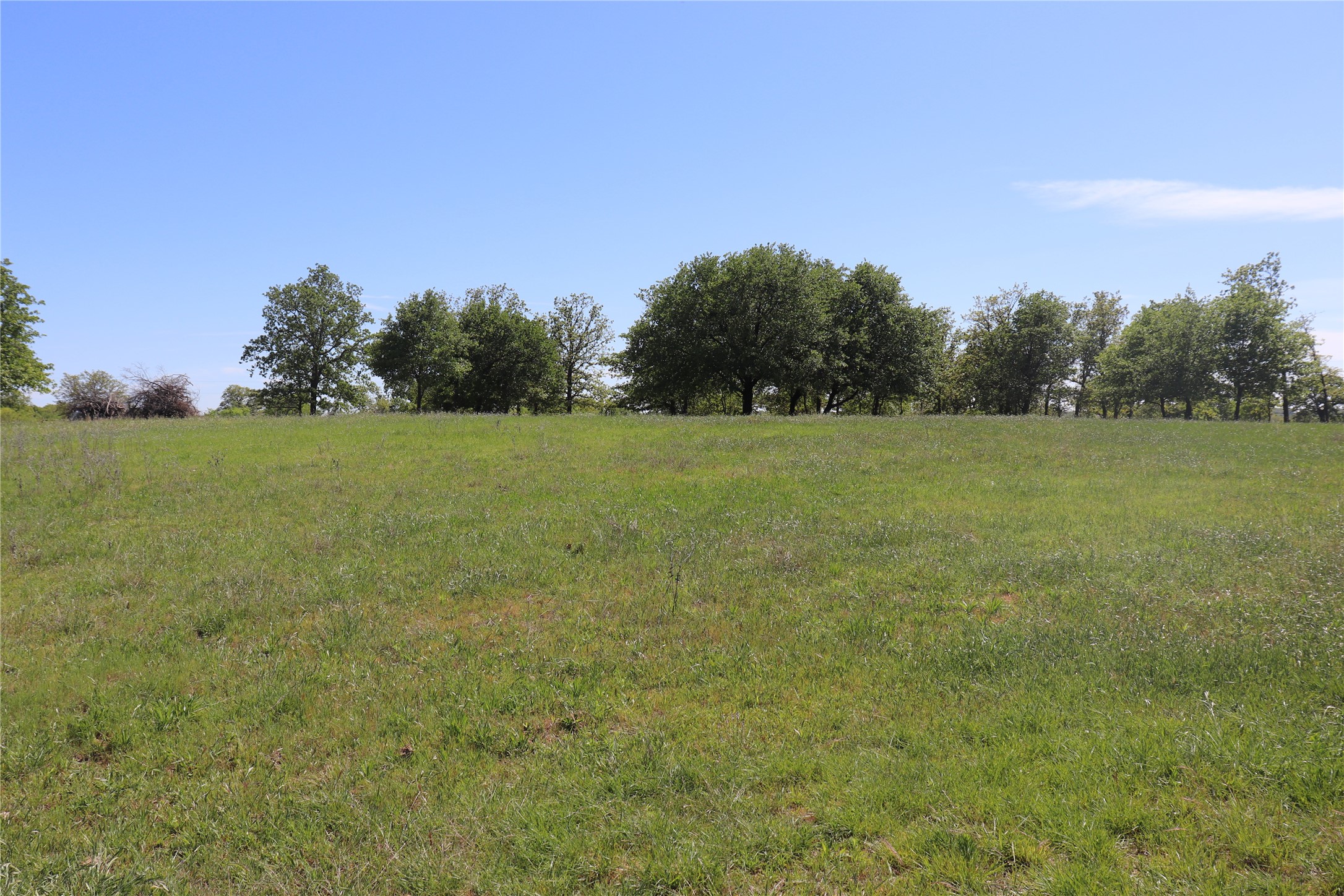798 County Road 189 Carbon TX 76435