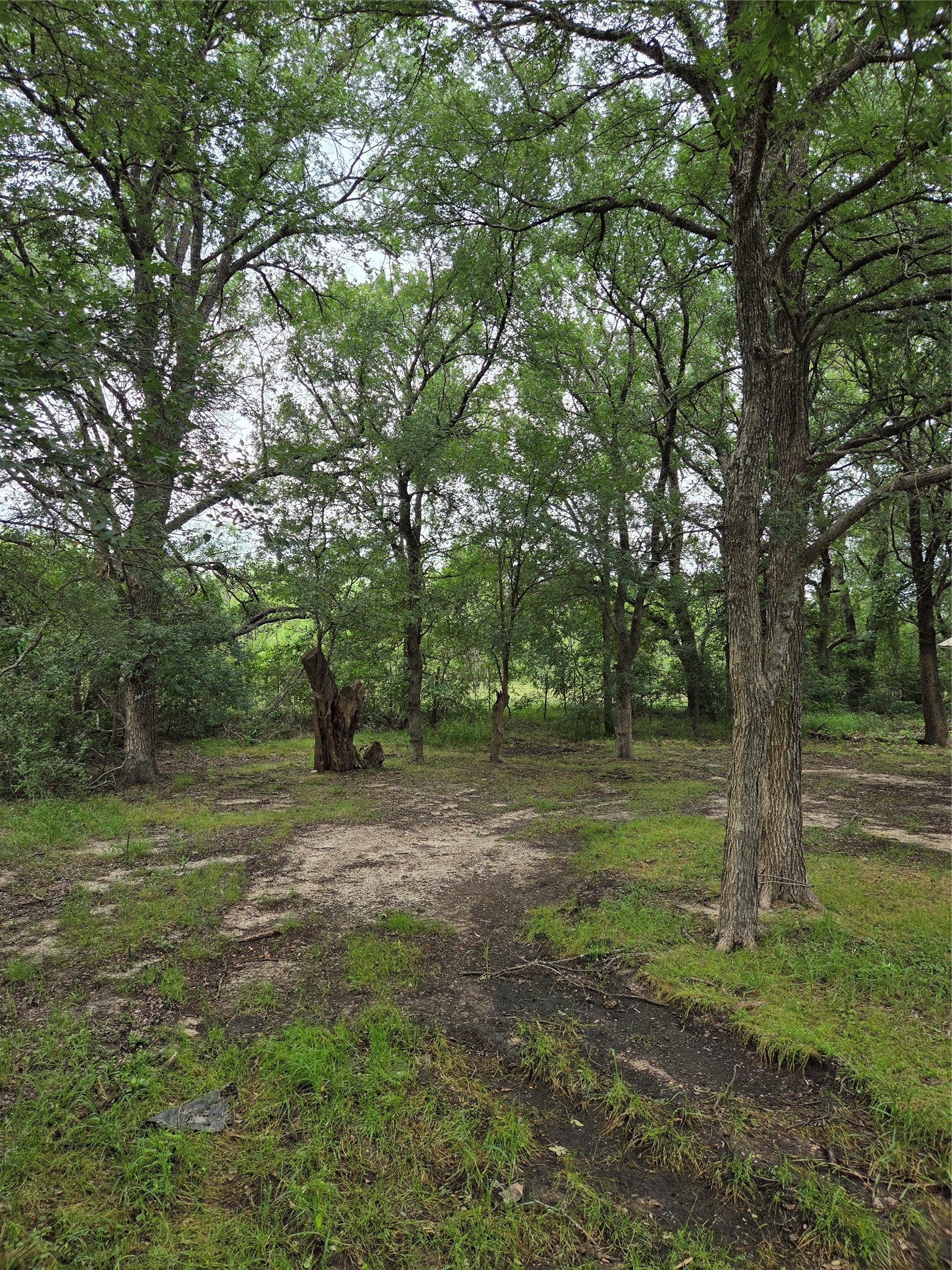 320 Hazelwood Avenue Waco TX 76705