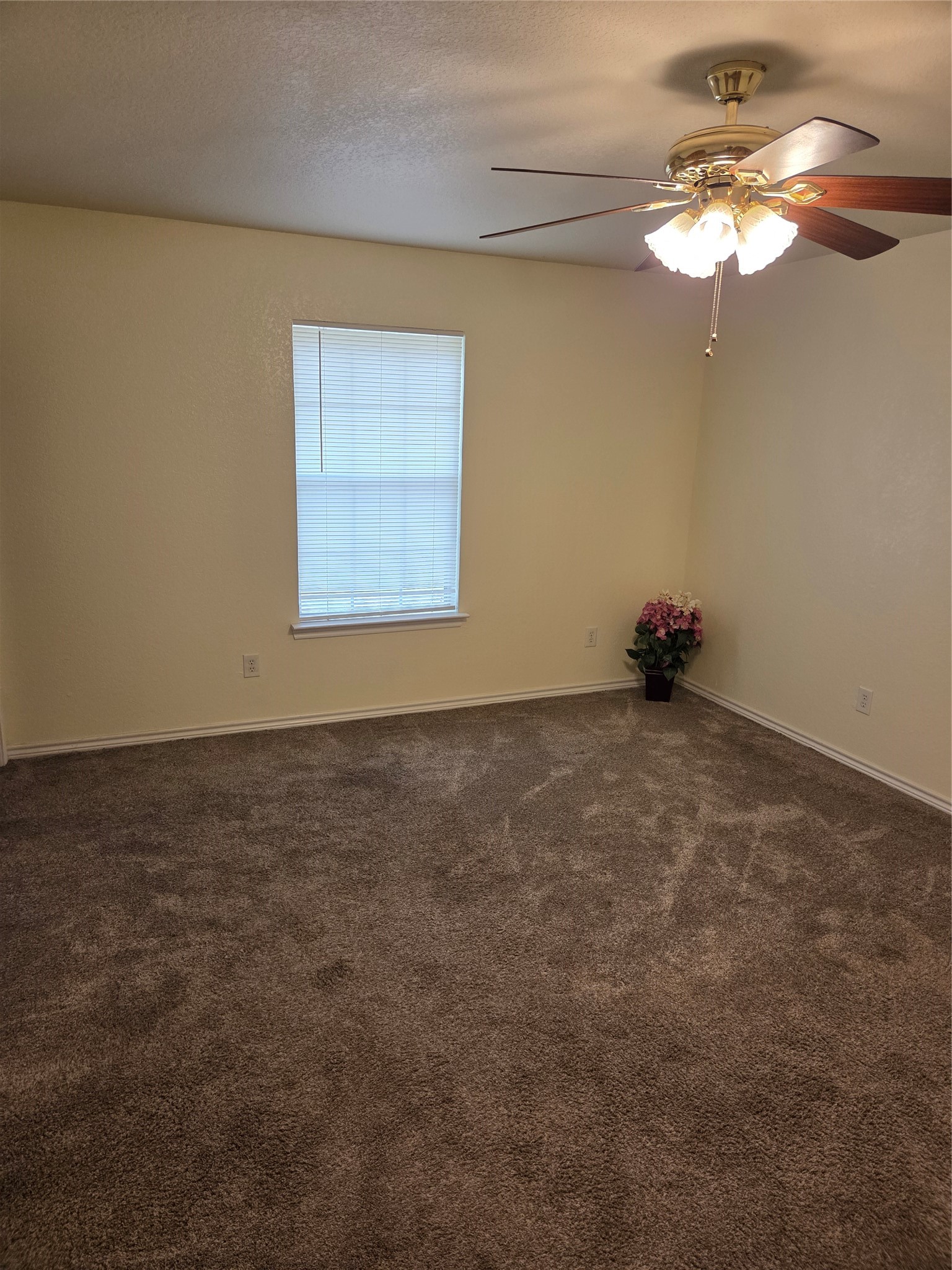 320 Hazelwood Avenue Waco TX 76705