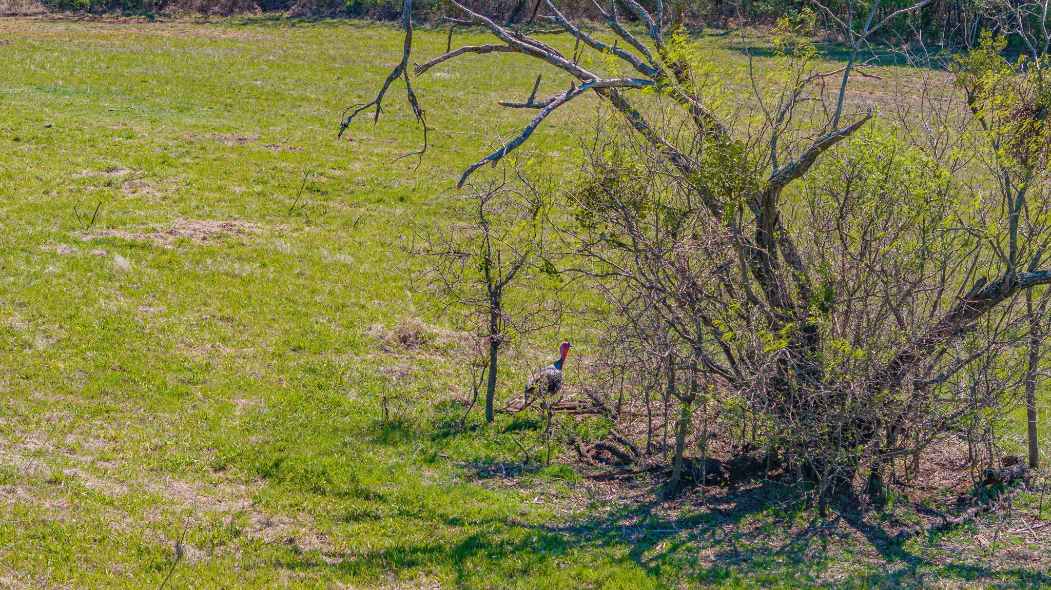 2474 County Road 371 Dublin TX 76446