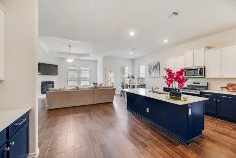 11221 Summer Rain Boulevard Aubrey TX 76227
