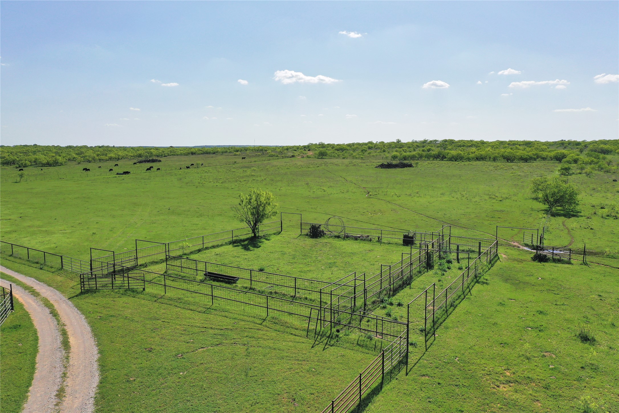 8617 Farm To Market 175 Jacksboro TX 76458