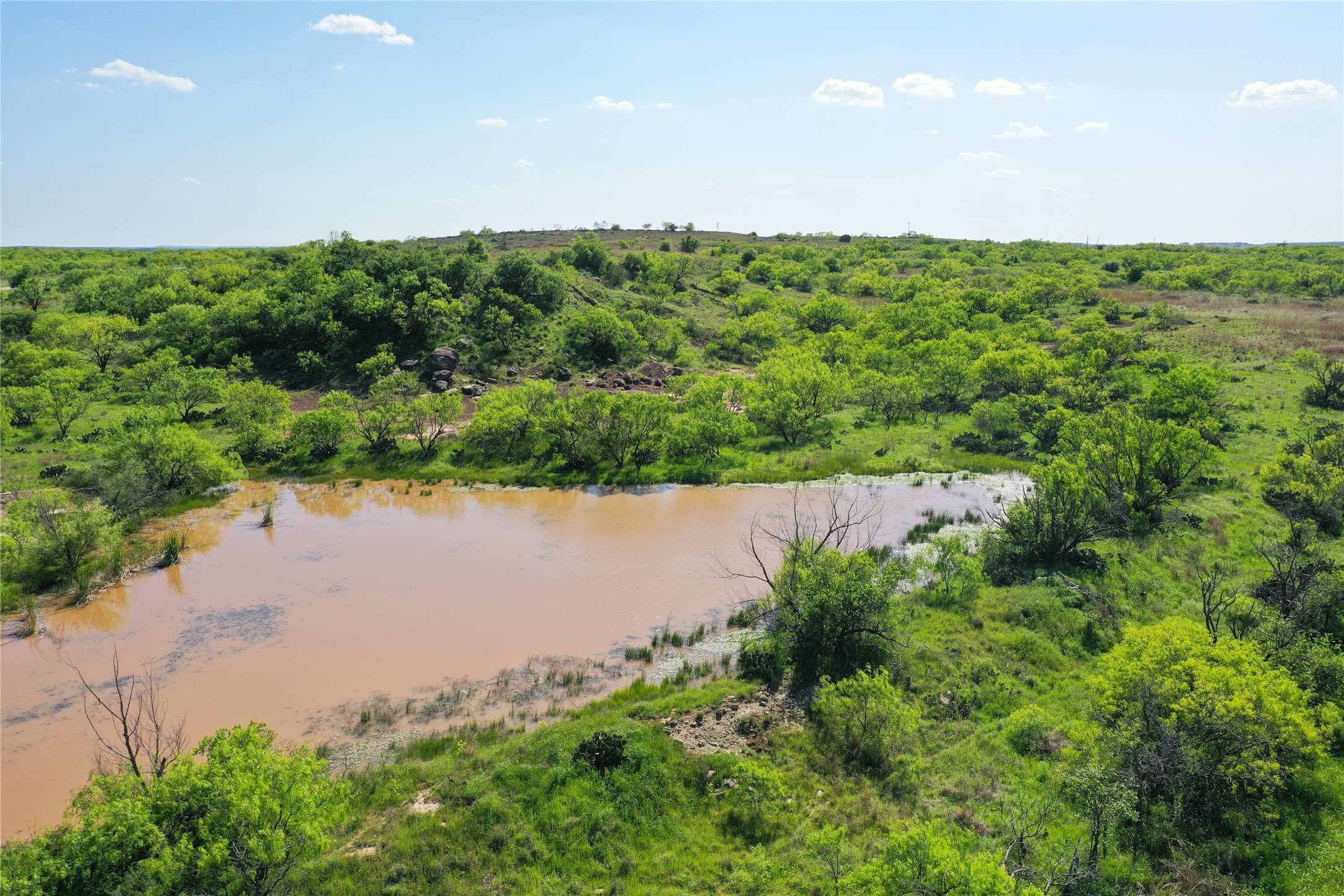 8617 Farm To Market 175 Jacksboro TX 76458