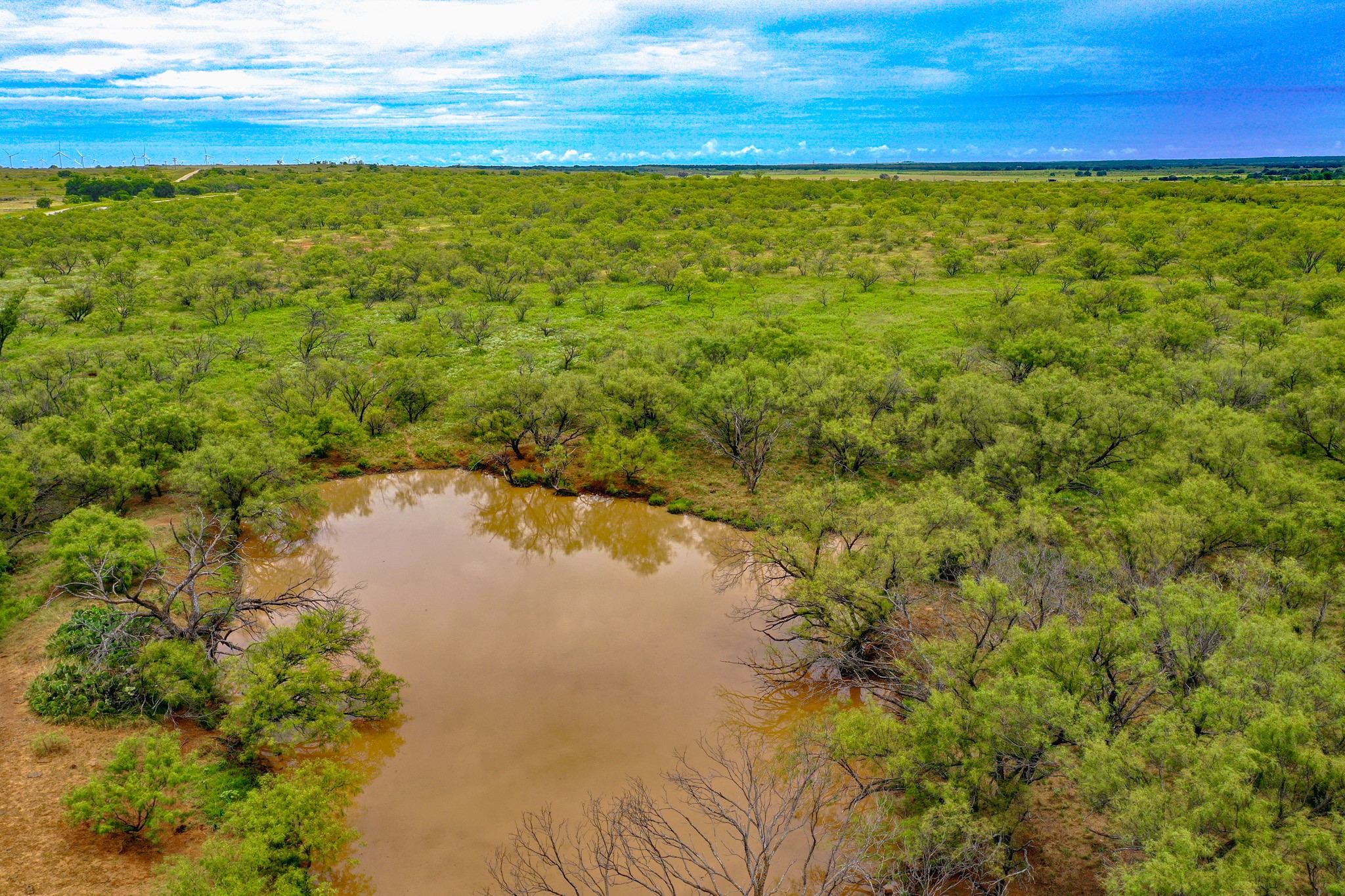 8617 Farm To Market 175 Jacksboro TX 76458