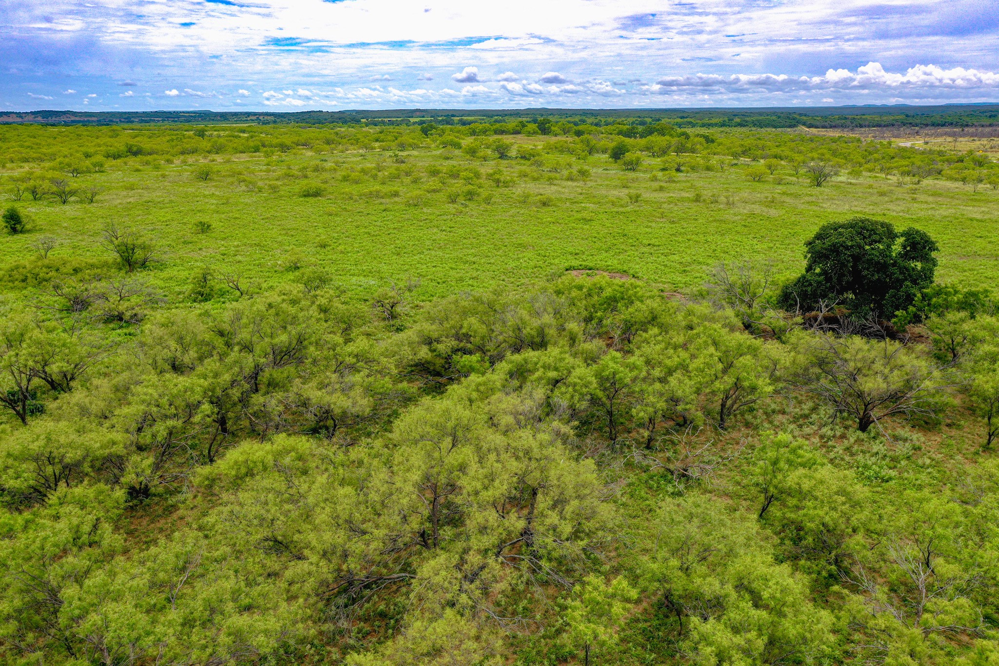 8617 Farm To Market 175 Jacksboro TX 76458